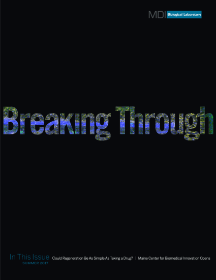 Breaking Through Summer 2017